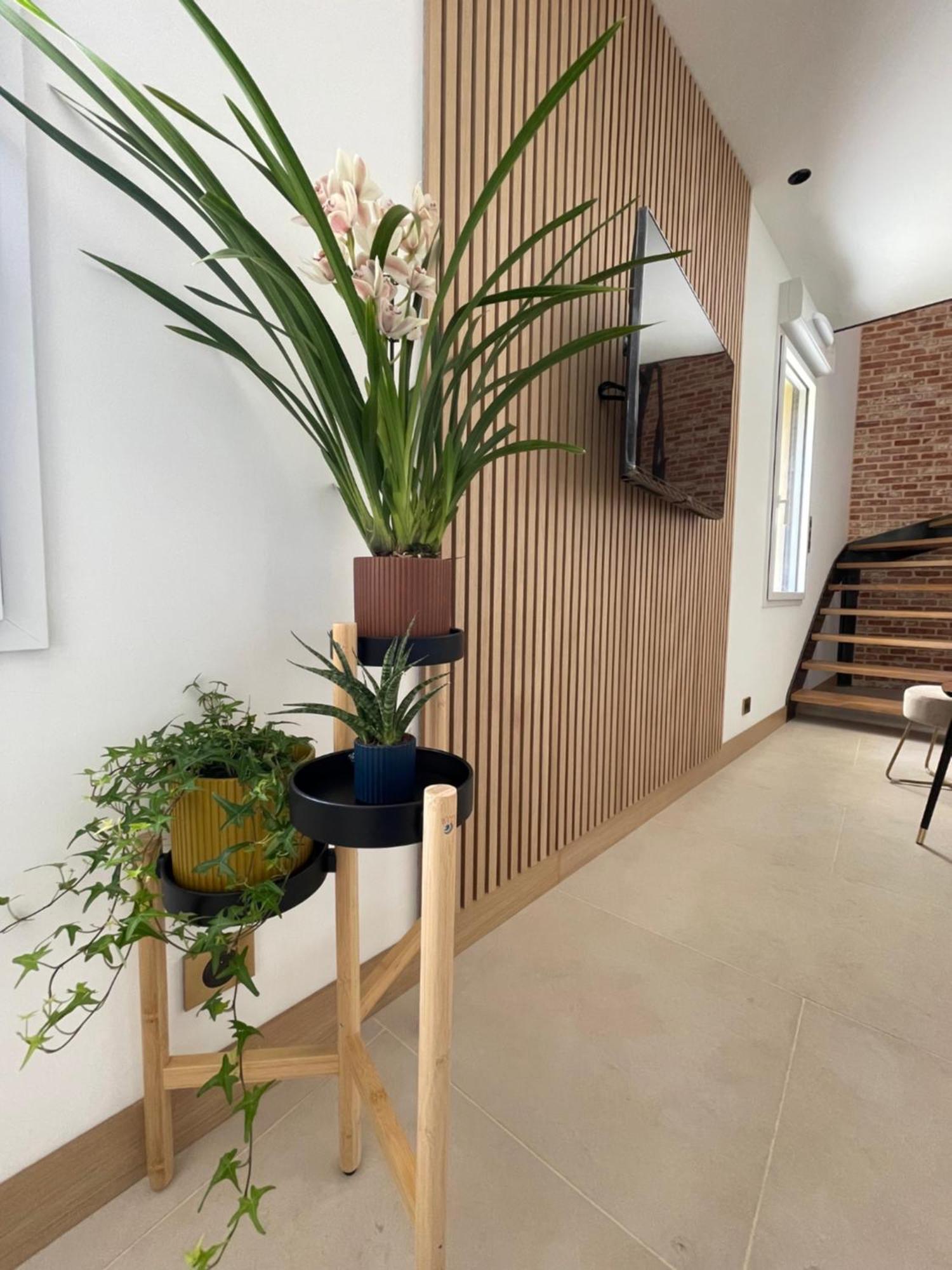 Neuf Et Design Appartement